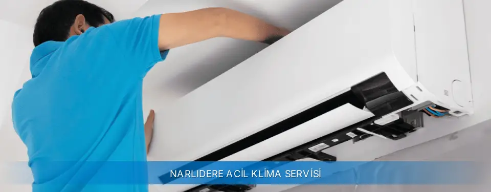 Narlıdere İlçemi Carrier Acil Klima Servisi