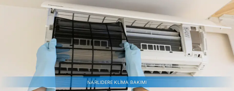 Narlıdere İlçemi Carrier Klima Bakımı