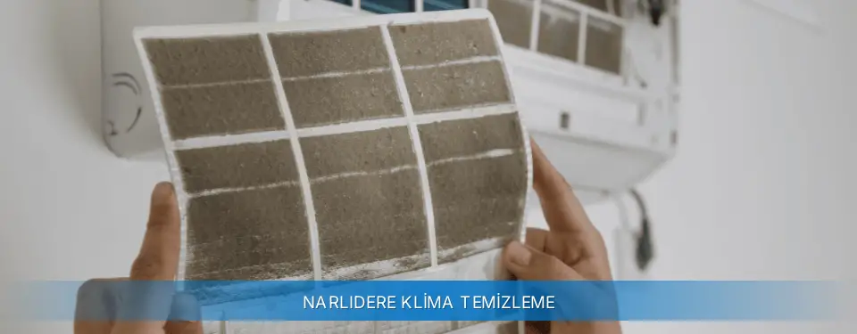 Narlıdere İlçemi Carrier Klima Temizleme